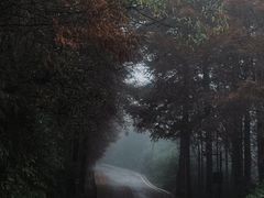 -山王坪喀斯特国家生态公园