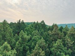-云龙山