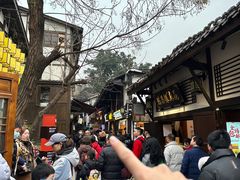 -陈建平麻花(磁器口总店)