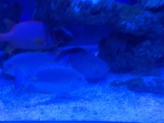 -上和臻品中国菜(花园街店)