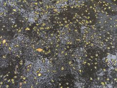 -常州银丝面馆(府琛店)