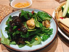 田七木耳拌扇贝-川旺角川粤融合菜•海景餐厅(星海广场店)