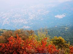 -香山公园