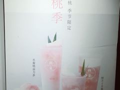 -树夏(建设路店)