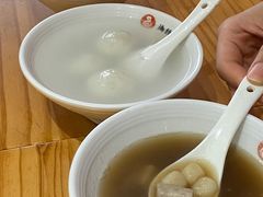 -海丝金凤(金鱼店)