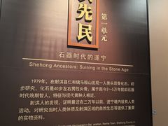 -四川宋瓷博物馆