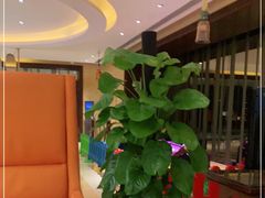 -长沙芙蓉国温德姆至尊豪廷大酒店 - 自助餐厅