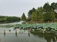 -白塘生态植物园