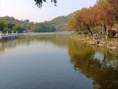 -珠海圆明新园