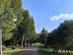 -滨湖塘西河公园