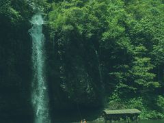 -龙苍沟森林公园