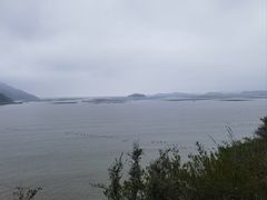 -北岐滩涂