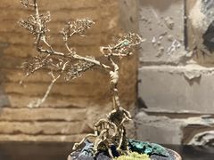 -鱼桥巷·美学川菜