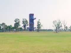 -春花秋色城市公园