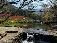 -广州市石门国家森林公园