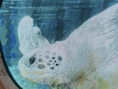 -广州海洋馆