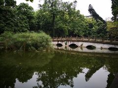 -广州近代史博物馆