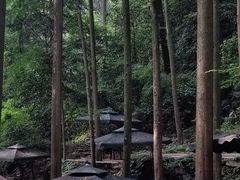 -凤栖山