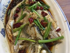 运河白水鱼-印象江南(东栅店)