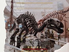 -陕西自然博物馆