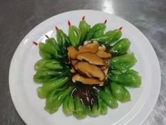-阿姨来了月嫂服务中心(徐汇店)