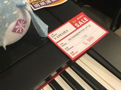 -通利琴行(尖沙咀旗舰店)