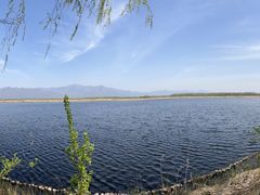 -野鸭湖国家湿地公园