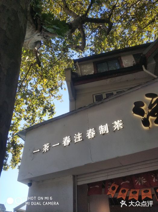 注春·荞麦奶茶(新天地旗舰店)图片
