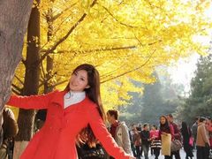 -辽宁大学(崇山校区)