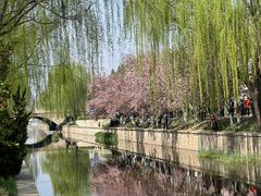 -海棠花溪(元大都城垣遗址公园)