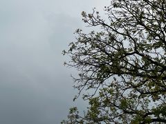 -广东花都湖国家湿地公园