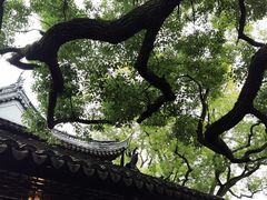 -豫园