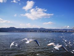 -海埂大坝