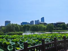 -西海子公园