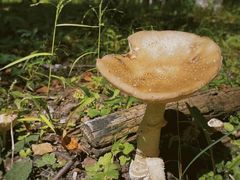 -松花湖风景名胜区