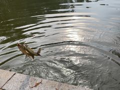 -酷鱼垂钓CLUB(朝阳区博大路店 )