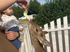 -秦皇岛野生动物园