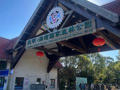 -上海海湾国家森林公园