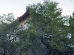 -山东大学(趵突泉校区)
