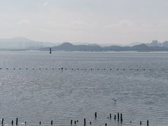 -深圳湾公园(南山区)