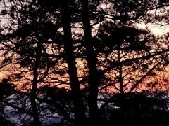 -帽儿山国家森林公园