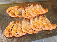 阿根廷红虾-汉巴味德(大悦城店)