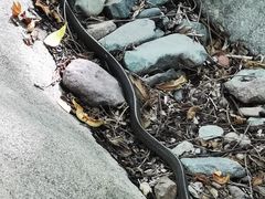 -云岫谷游猎自然风景区