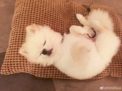 -金陵一哥龙虾馆(三牌楼总店)