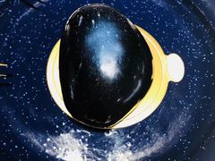 黑曜石蛋糕-大树餐厅(益田假日店)