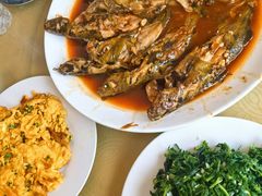 -金台阶鱼馆(于桥水库店)