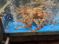 -徐记海鲜(大明宫|北二环店)