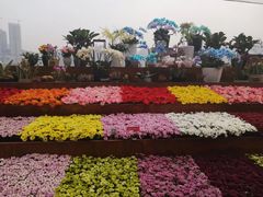 -重庆市江北嘴中央商务区中央公园