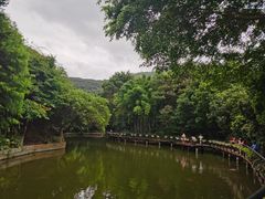 -月亮湾公园