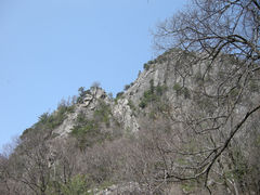 景点-朱雀国家森林公园